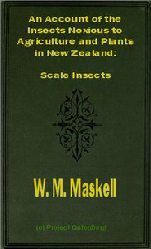 [Gutenberg 48394] • An Account of the Insects Noxious to Agriculture and Plants in New Zealand / The Scale Insects (Coccididae)